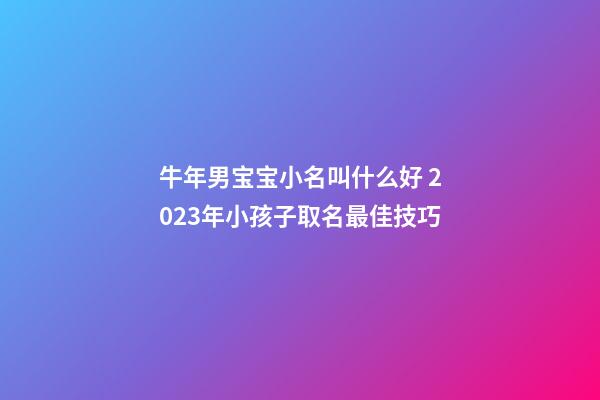 牛年男宝宝小名叫什么好 2023年小孩子取名最佳技巧